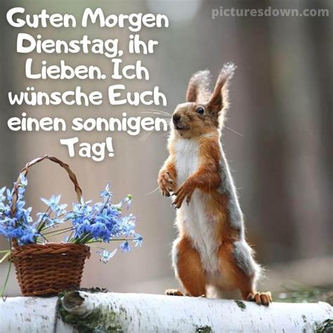 guten morgen dienstag lustig